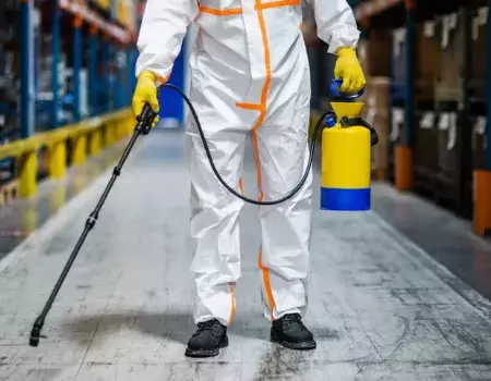 Untitled design (72)